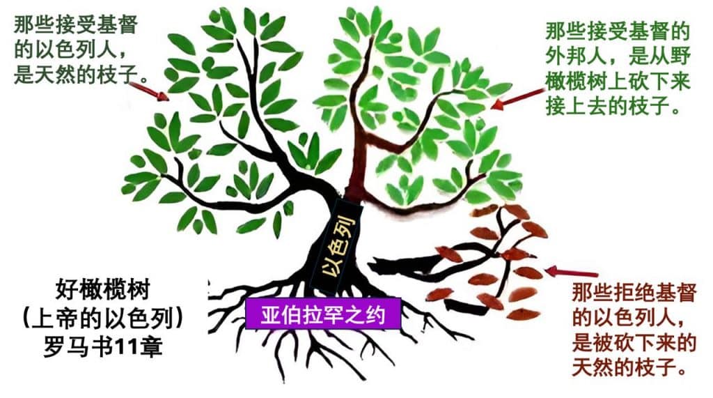 神的橄榄树（以色列与外邦人）